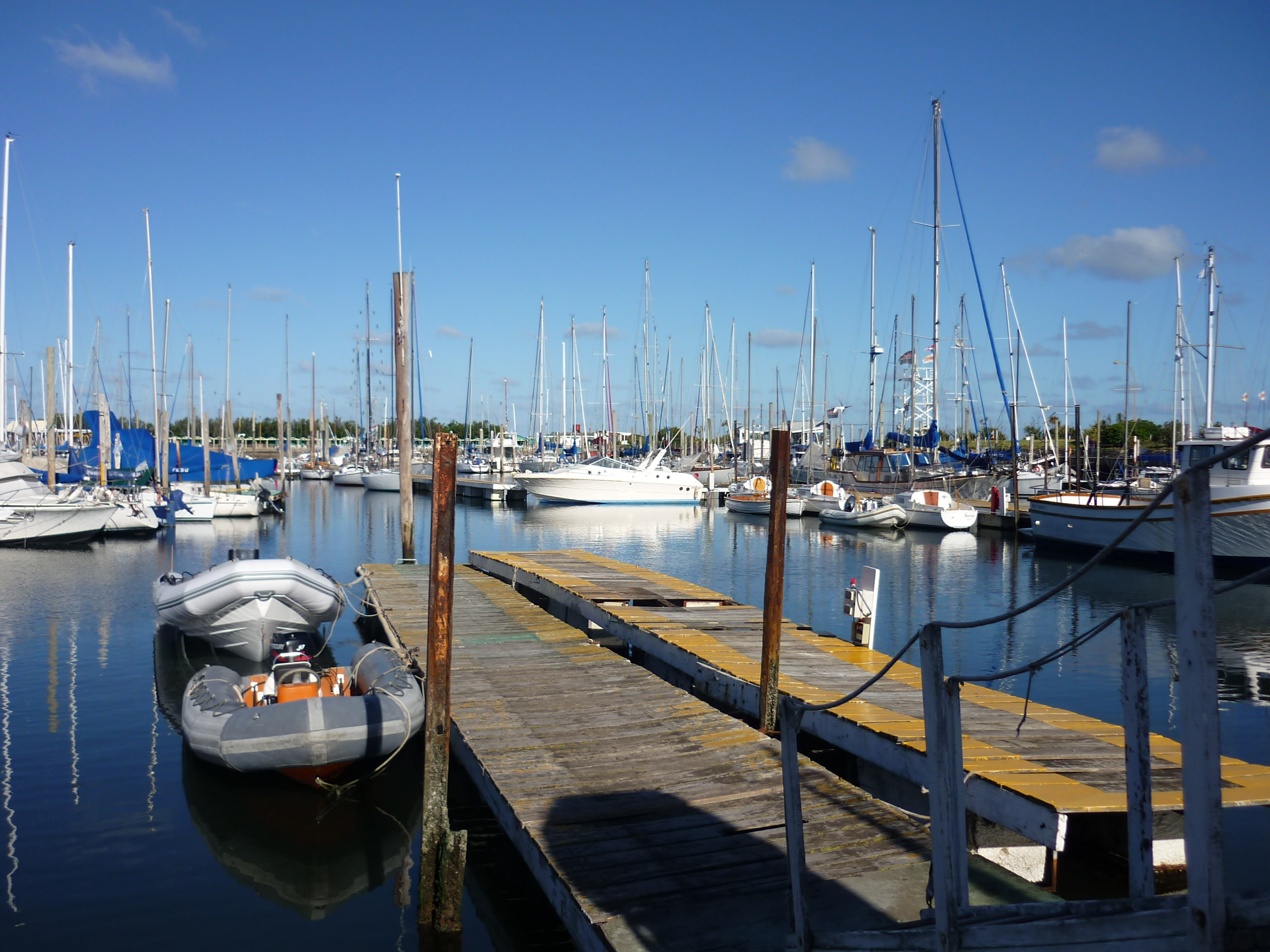 fotos/2009-12-07 - Mar del Plata Pezca Variada/P1000608.JPG